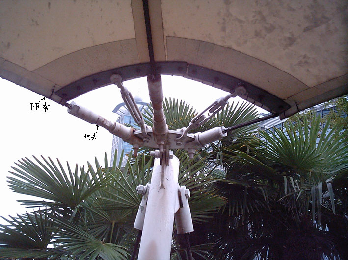 PE����Ĥ�Y(ji��)��(g��u)�đ�(y��ng)��